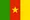 Cameroon flag