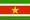 Suriname flag