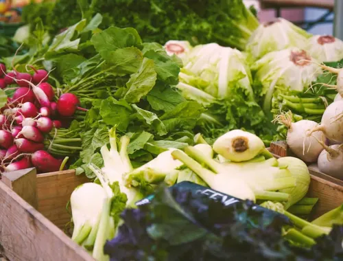 Edible vegetables and certain roots and tubers product category, HS Chapter 07